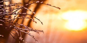 vrijeme_sunce_465396S1